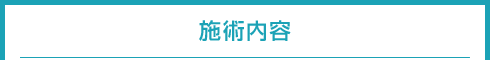 施術内容